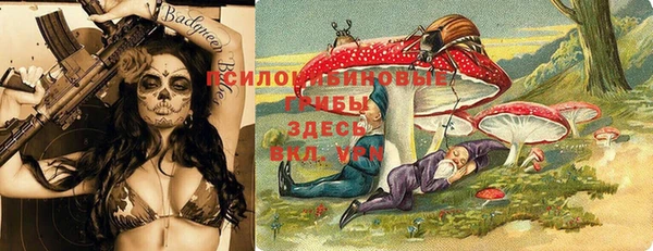 MESCALINE Аркадак