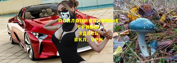 не бодяженный Арсеньев