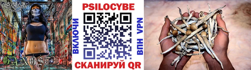 Галлюциногенные грибы Cubensis  Купить закладки  Кондрово 